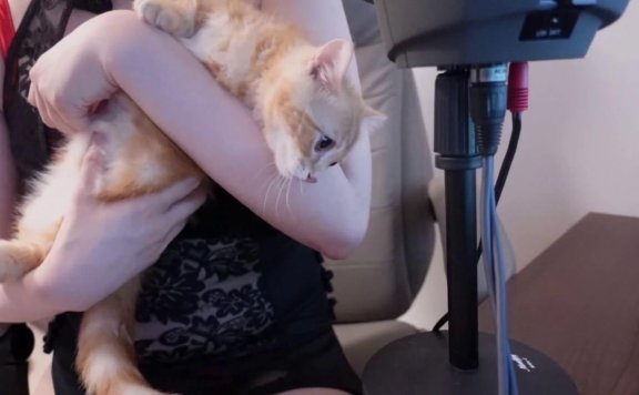 セクシー衣装で耳舐め♥癒しのASMR配信*BANにつき6月10日迄新規会員さんがSTOPされております、新規さんは6月10日よりお願い致します>< – 20220528