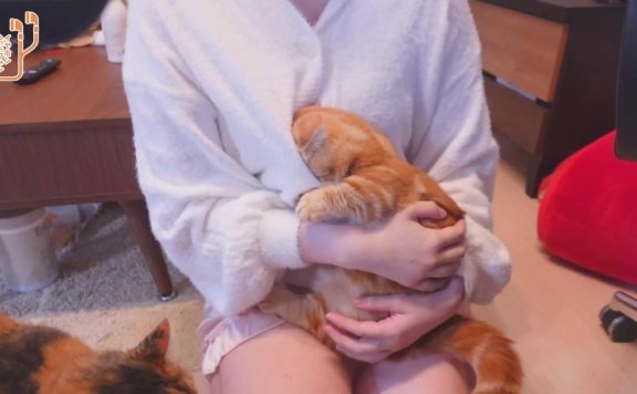 セクシー衣装でゆっくり雑談♡見せつけ♡ – 20221122-lcoser