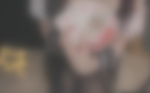 ♥カメラ枠ASMR♥(最初少し無料)*情ロリバニーガールと夜のギャンブルしませんか？ ear licking _귀 핥기_舔耳_耳舐め – 20230331-lcoser